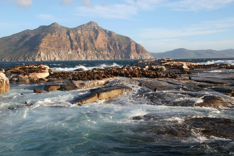 Cape Peninsula, South Africa